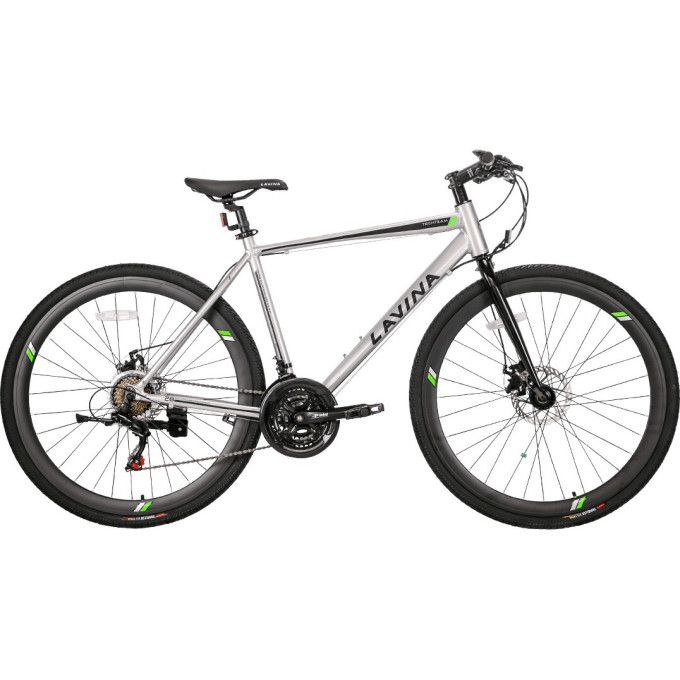 Велосипед TECH TEAM LAVINA 28 серый 28 " NN000743